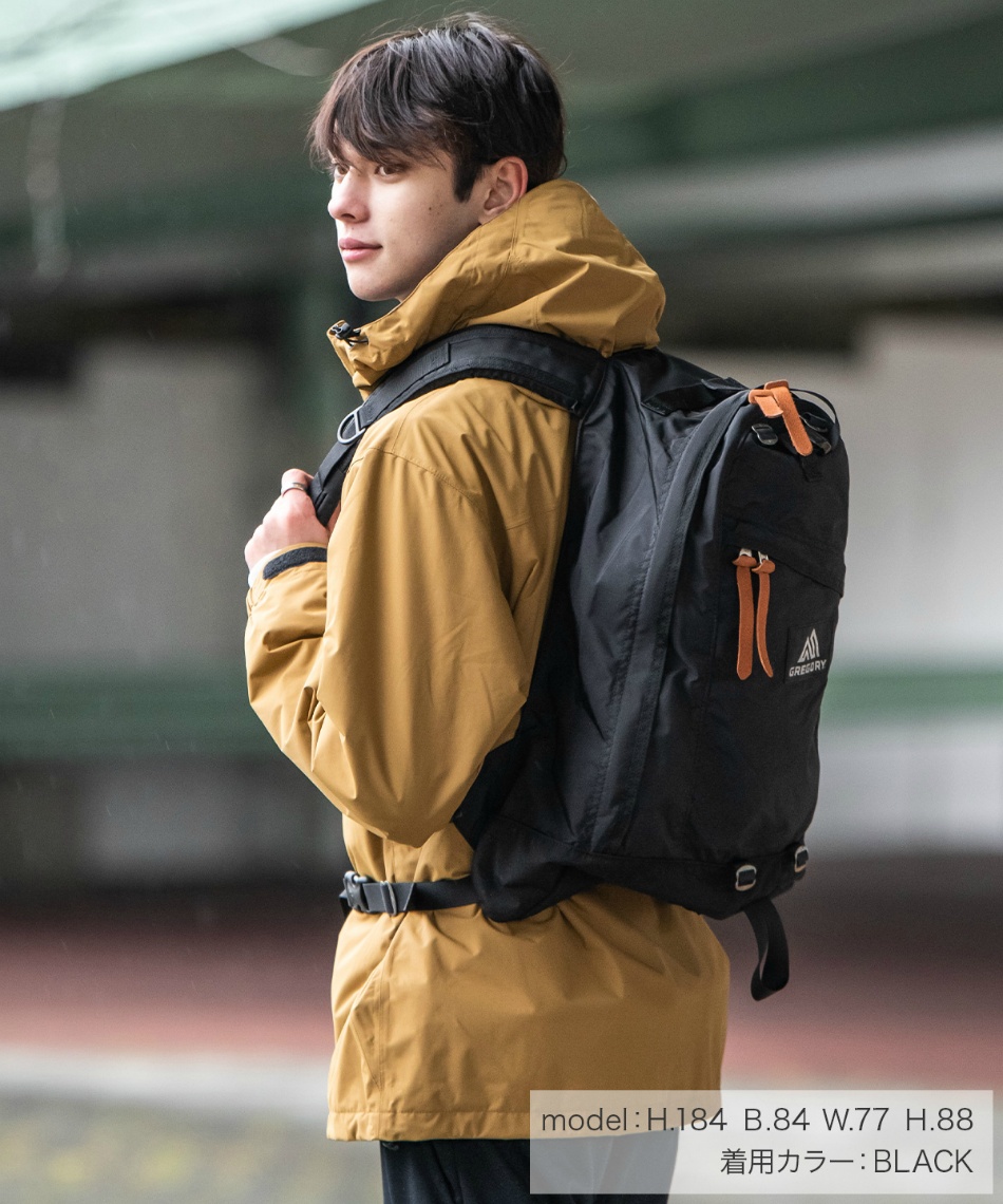 グレゴリー Gregory リュックサック 26l デイパック Day Pack スポーツ用品ならヒマラヤオンラインストア 公式 グレゴリー Gregory リュックサック 26l デイパック Day Pack スポーツ用品ならヒマラヤオンラインストア 公式