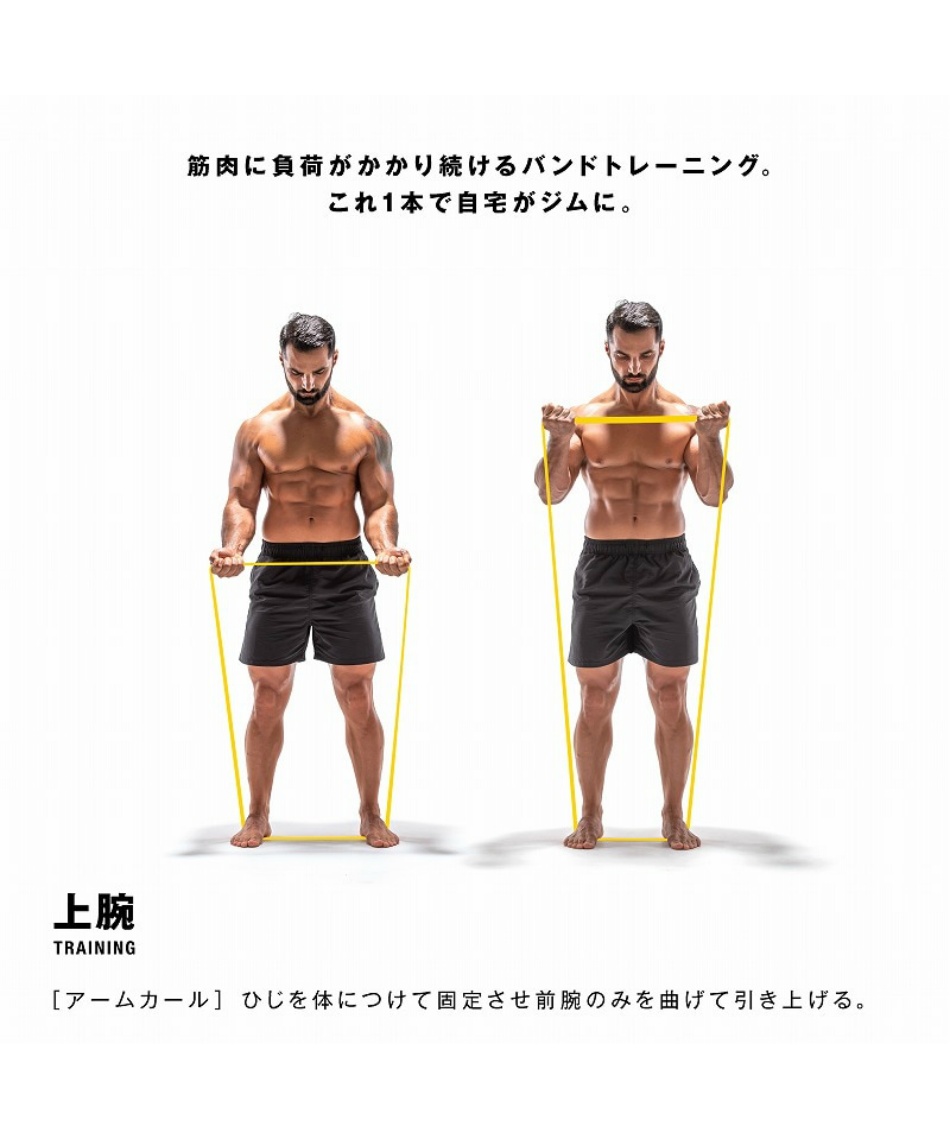 エキスパンダートレーニングバンド スタンダード 筋肉質BAND54154