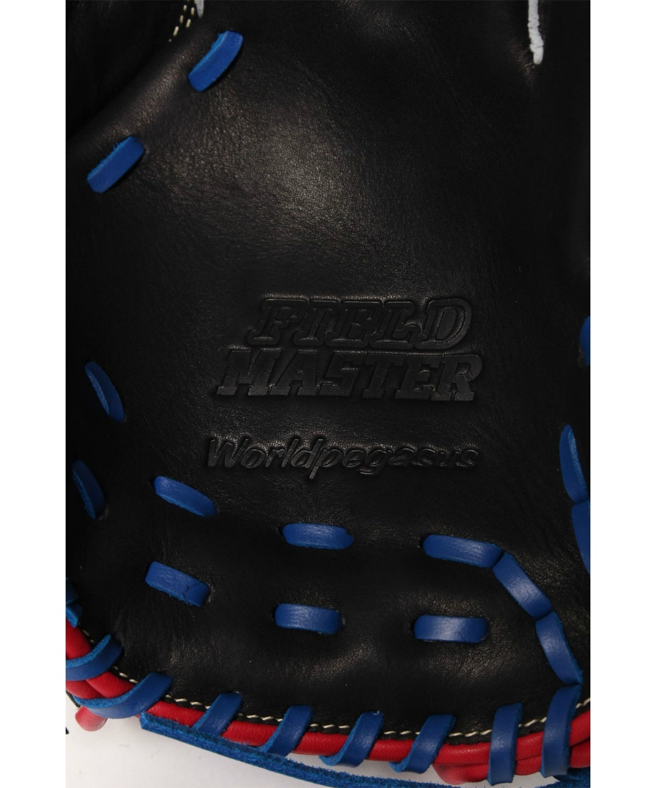 ワールドペガサス(WORLD PEGASUS) ソフトボールグローブ オール