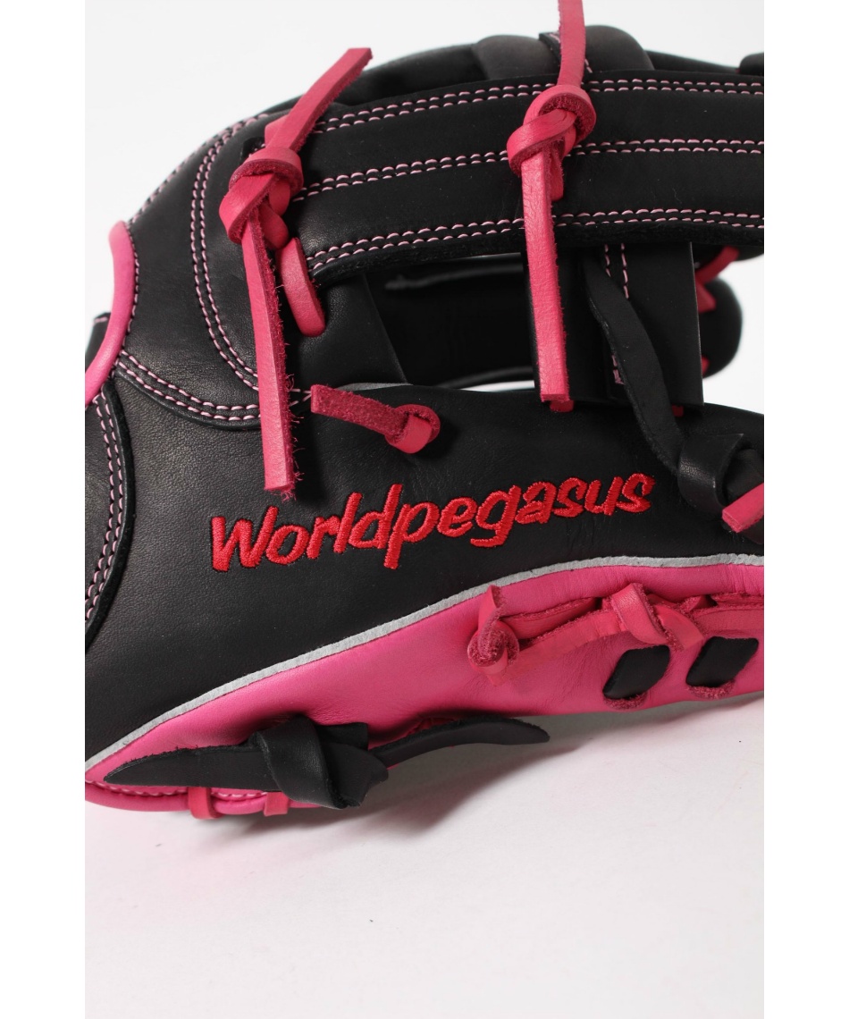 ワールドペガサス(WORLD PEGASUS) ソフトボールグローブ オール