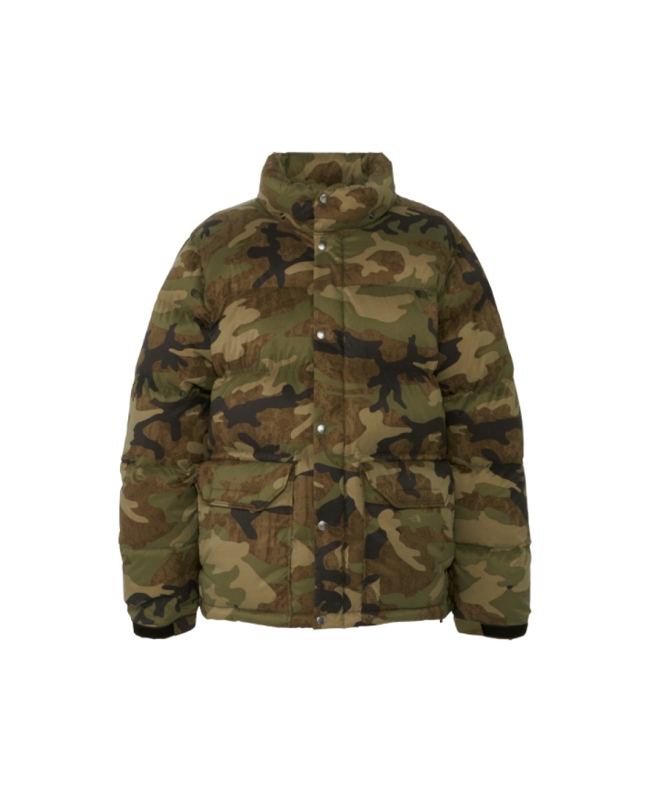 ザ・ノース・フェイス(THE NORTH FACE) ダウンジャケット ノベルティ
