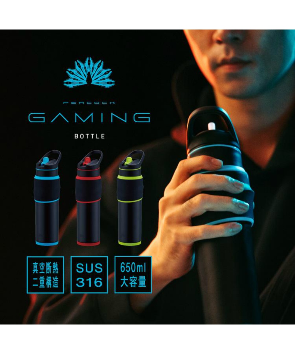 水筒 ドリンクボトル 真空断熱二重構造 ゲーミングボトル AKX-R65【ご