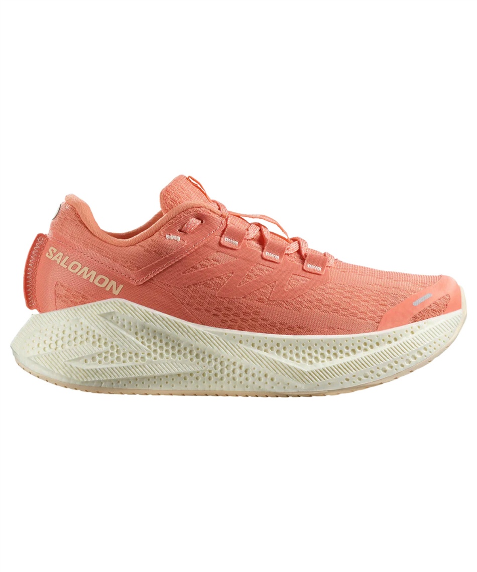 サロモン(SALOMON) トレイルランニングシューズ AERO GLIDE 3 L47810700 【国内正規品】
