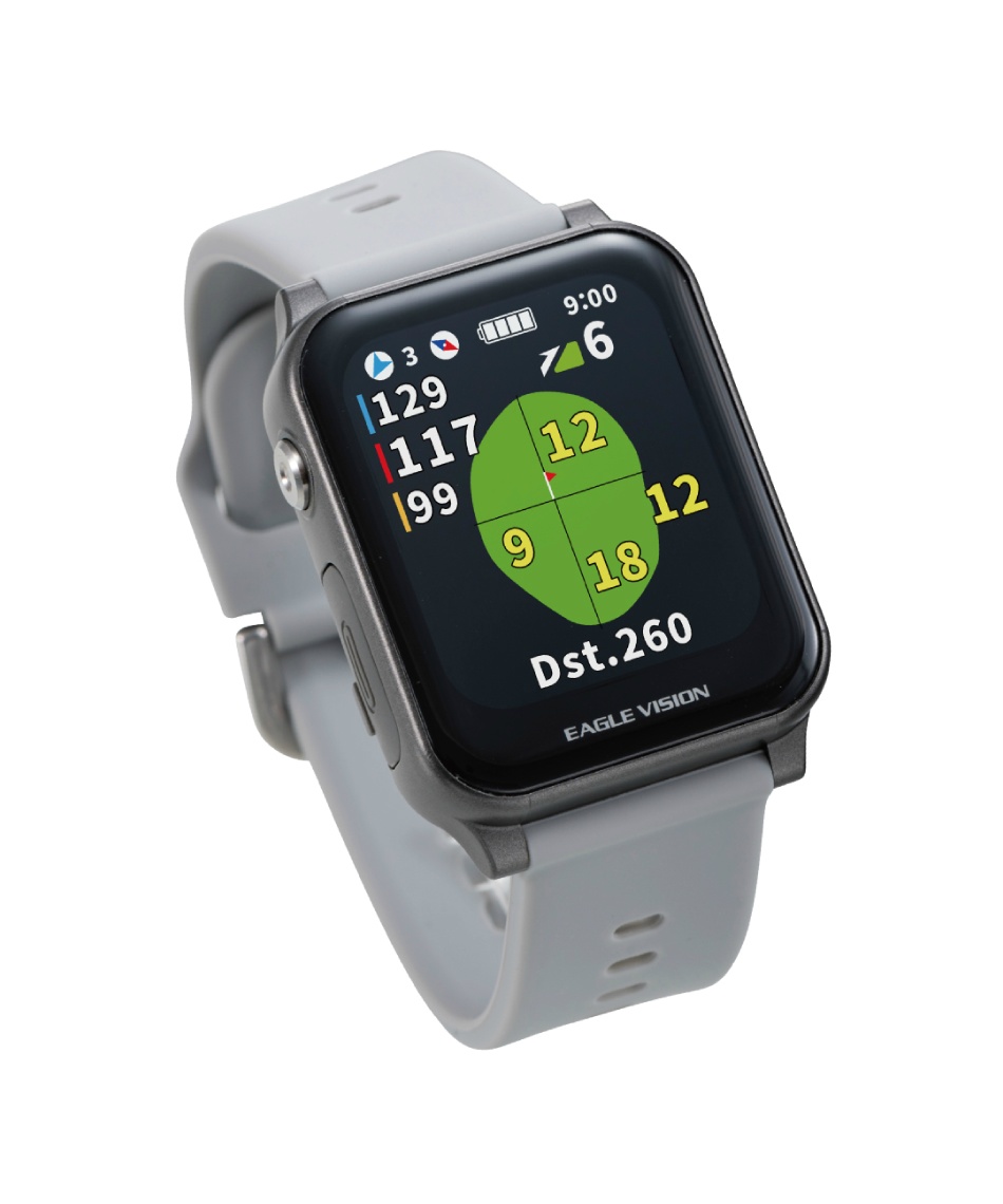 �l���|�C���g200pt �y���������z�C�[�O���r�W����(EAGLE VISION) �S���t GPS�i�r EAGLE VISION AX �A�N���X EV-539 GY