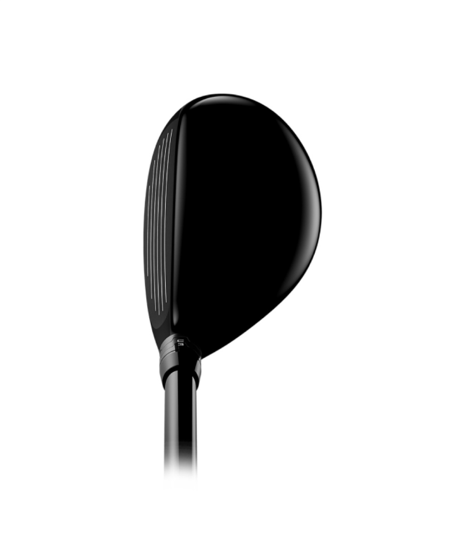 タイトリスト(Titleist) ゴルフクラブ ユーティリティ N.S. PRO