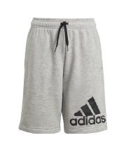 essentials ショーツ　M ショートパンツ スウェット エッセンシャルズ ショーツ ESSENTIALS