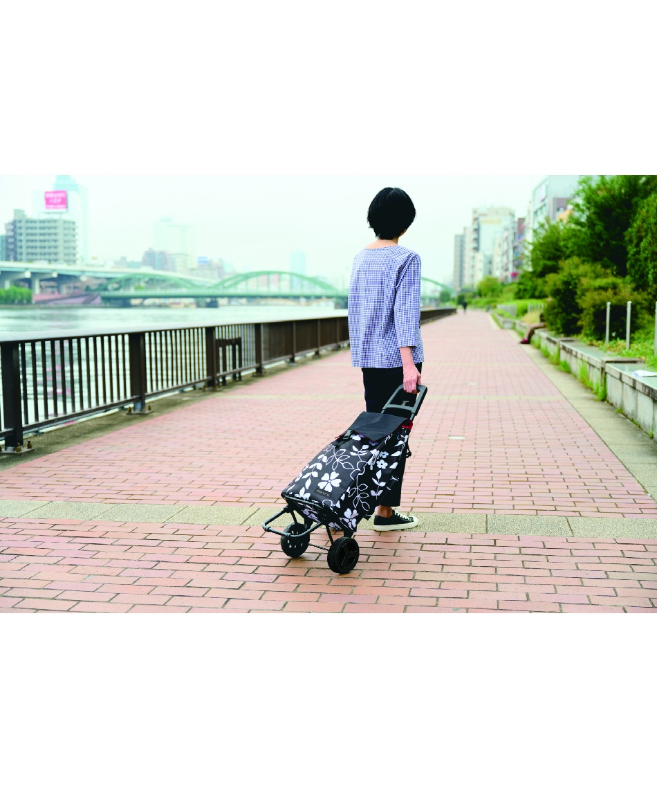 キャリーカート レギュラーカートフラワー 5449ﾌﾗﾜｰｶｰﾄｾｯﾄ | スポーツ