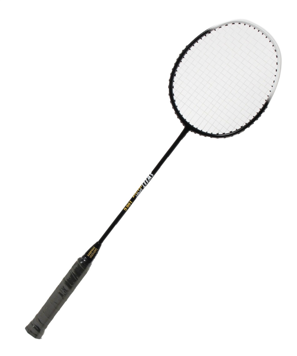 2025年激安 バドミントン イノベーションズ(Badminton Innovations ラケット