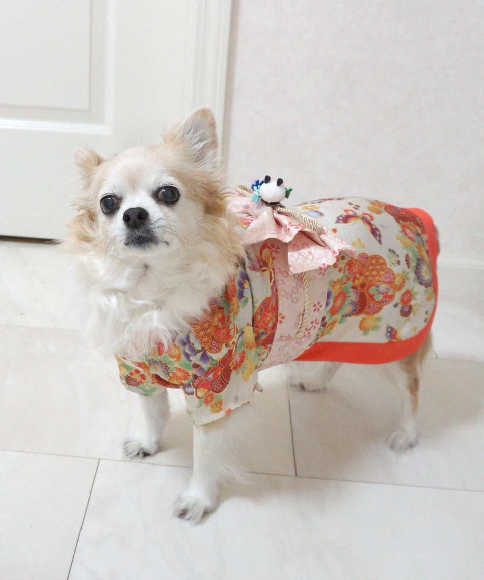 犬服　ダイヤモンド　着物　ご確認 ペットウェア ペット着物 ONS0057【ご自宅配送限定
