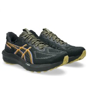 アシックス(asics) トレイルランニングシューズ GT-1000 14GTX