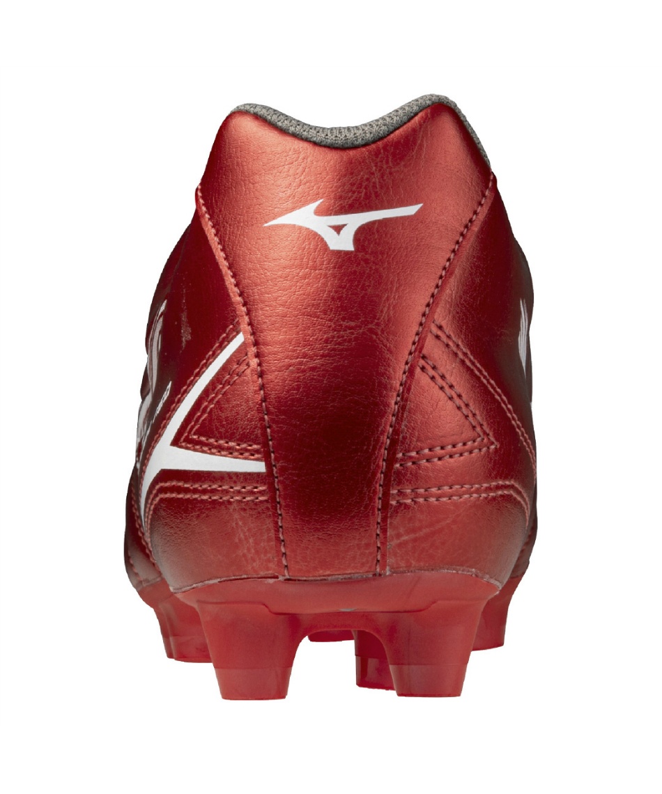 超レア　ミズナラの朽木 000000026310_3_1Lc437C.jpg