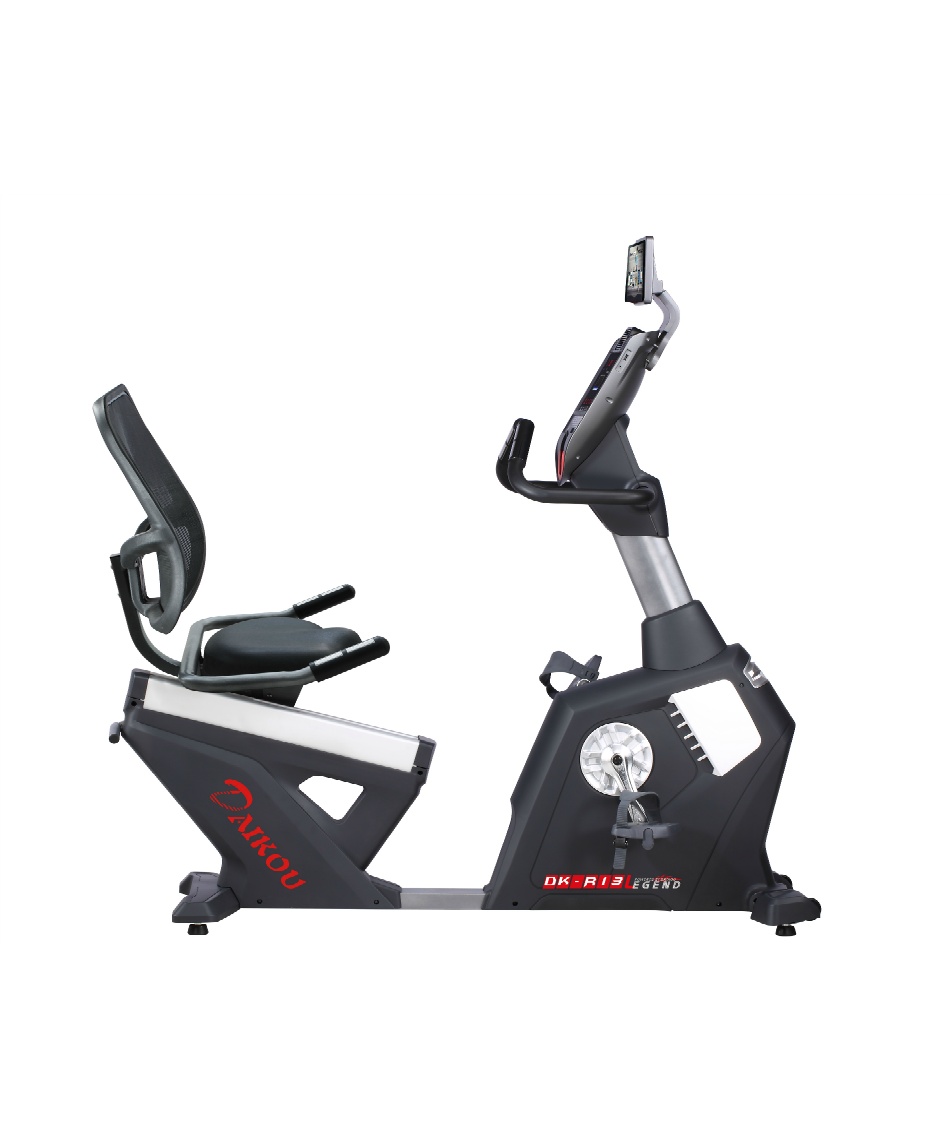 ダイコー(DAIKOU) フィットネスバイク