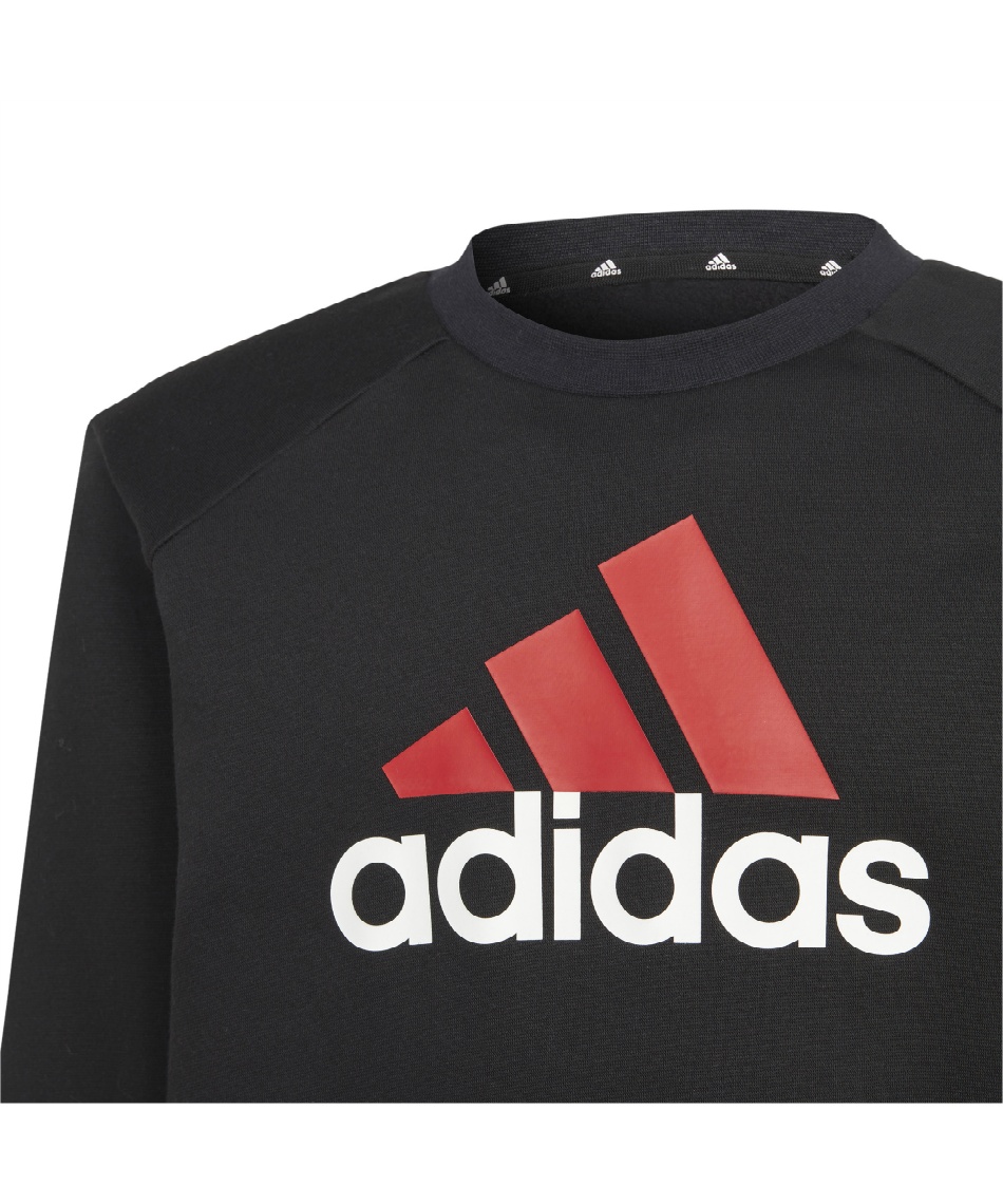 スウェットウェア上下セット エッセンシャルズ ビッグ ロゴ フリース