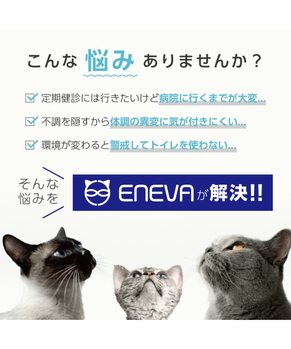 エネバー(ENEVA) 動物用アクセサリー みまもるネコ砂 WEV-ACL-UHC30G