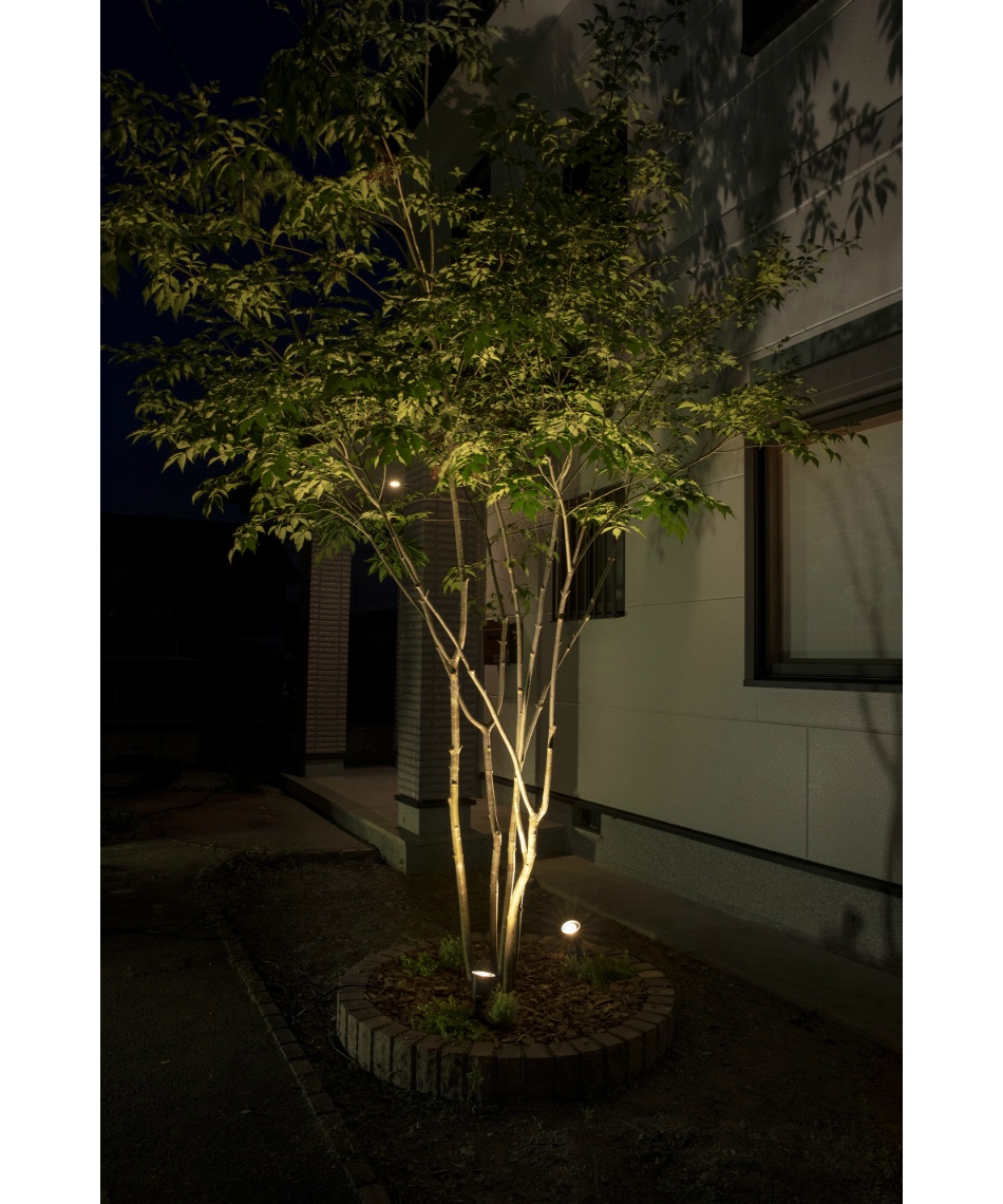 ひかりノベーション 木のひかり 基本セット ひかりノベーション