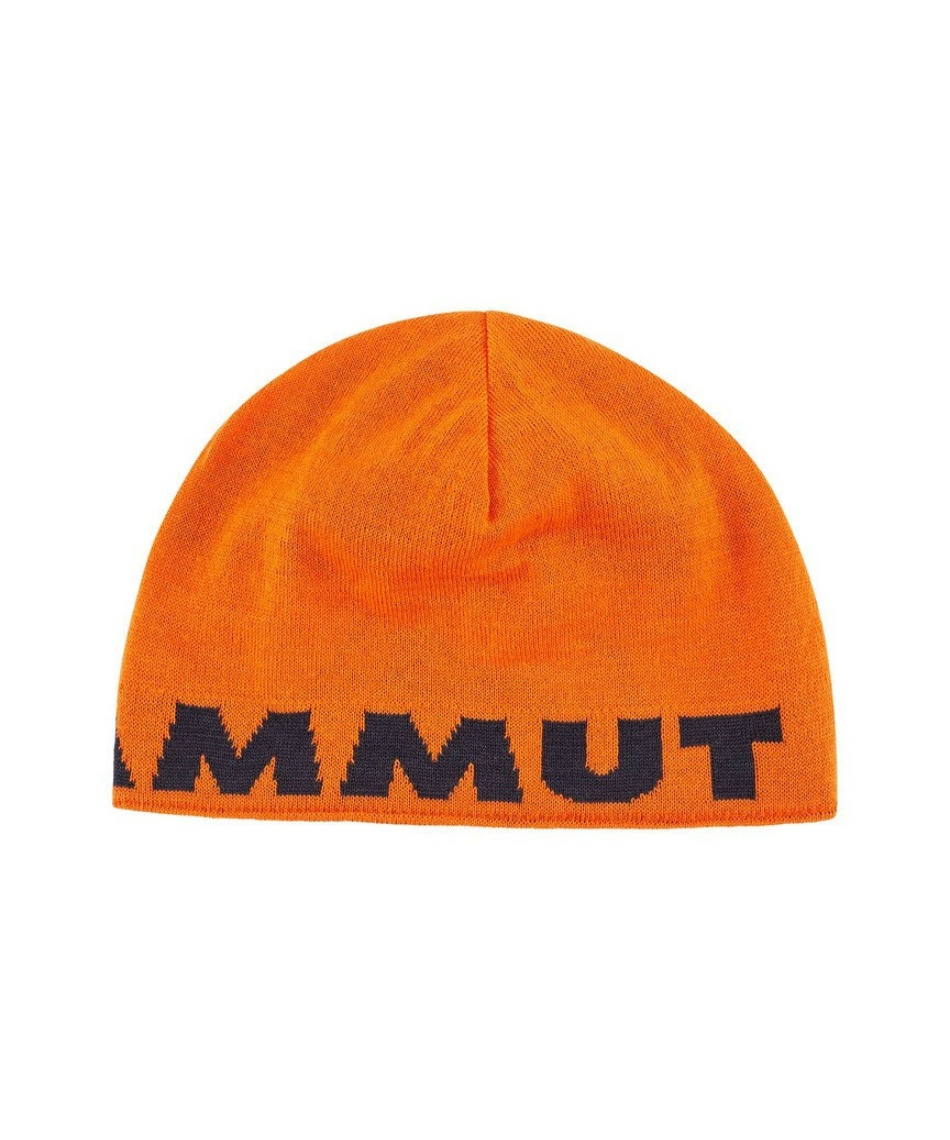 マムート(MAMMUT) ニット帽 ロゴ ビーニー Logo Beanie 1191-04891