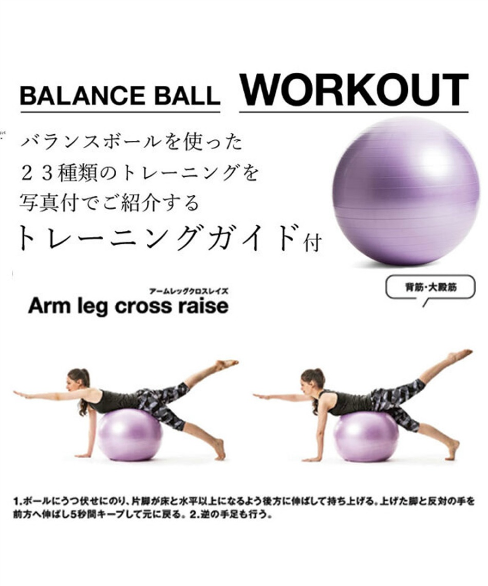 ラ ヴィ(La-VIE) ジムボール バランスボール55cm パープル 3B-4129