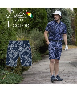 �l���|�C���g675pt �A�[�m���h�p�[�}�[(arnold palmer) �S���t�E�F�A �V���[�g�p���c �o���_�i�v�����g�V���[�g�p���c AP220109D06 �����Y NV O