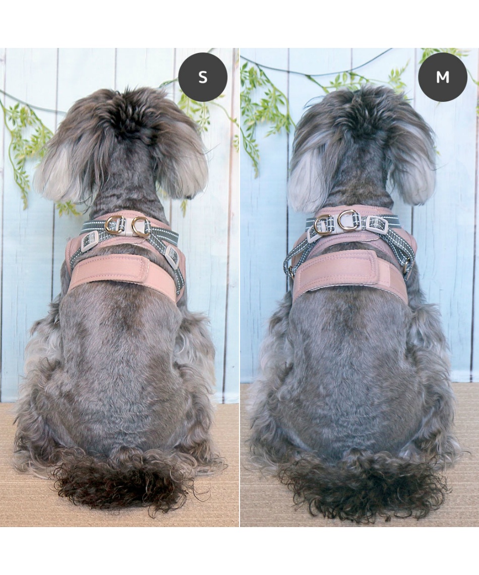 ハーネス 犬用コンフォートハーネス リード付き 17729 【返品不可
