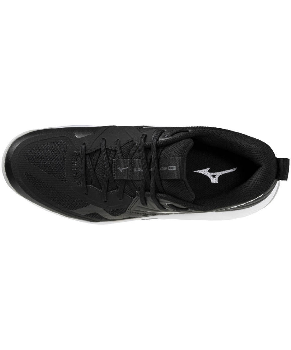 ミズノ(MIZUNO) バレーシューズ ウエーブモーメンタム プロ WAVE