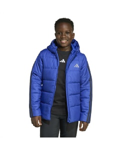 アイテム:カジュアルウェア:アウター・ジャケット:ダウン・中綿