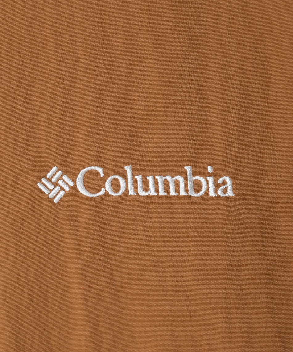 インスパイア　1/6 FMW ハヤブサ　限定茶色カラー　新品未開封 Ibanez AFC151-TBC フルアコ AFC-151 アイバニーズ 【 イオンモール