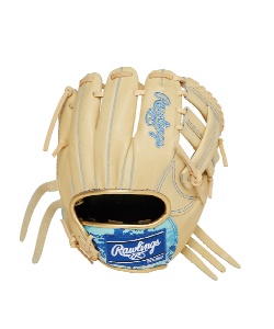 ローリングス(Rawlings) トレーニンググラブ 硬式レザー仕様 GH1FGTK4T