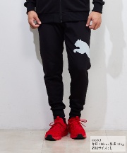 PUMA アウター&ロングパンツ 楽天市場】プーマ TEAMRISE ウーブンジャケット ウーブンパンツ