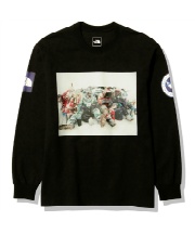 ザ・ノース・フェイス(THE NORTH FACE) Tシャツ 長袖 ロングスリーブ