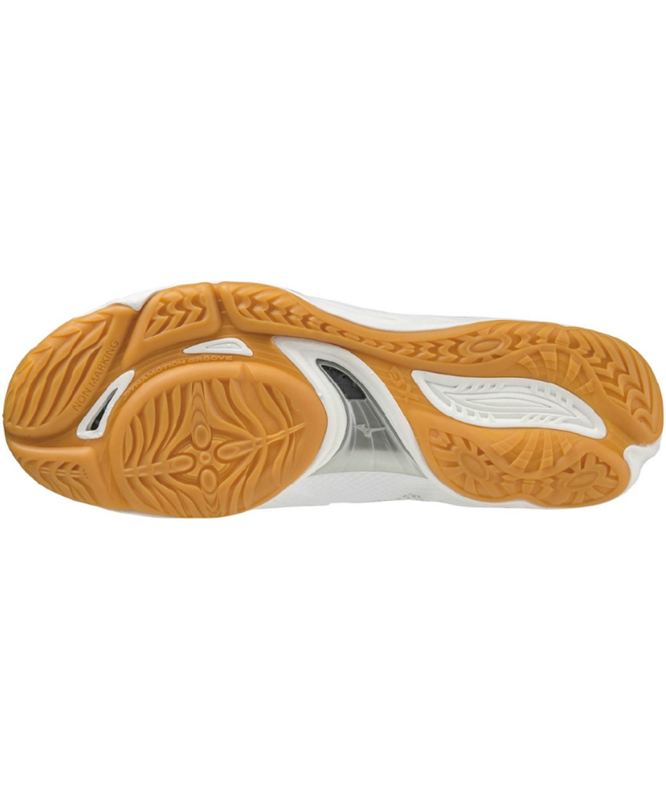 バレーボールシューズ ミズノフライ MIZUNO FLY V1GA233009 | スポーツ