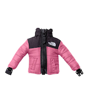 ザ・ノース・フェイス(THE NORTH FACE) キーホルダー ミニヌプシ