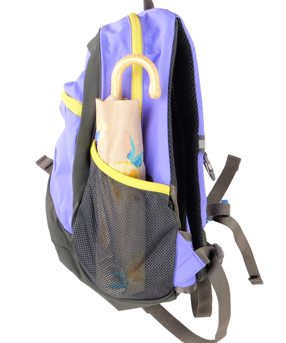 ザ・ノース・フェイス(THE NORTH FACE) バックパック スモールデイ