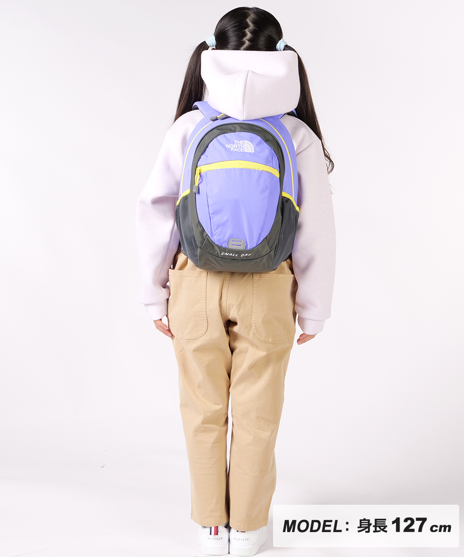 ザ・ノース・フェイス(THE NORTH FACE) バックパック スモールデイ