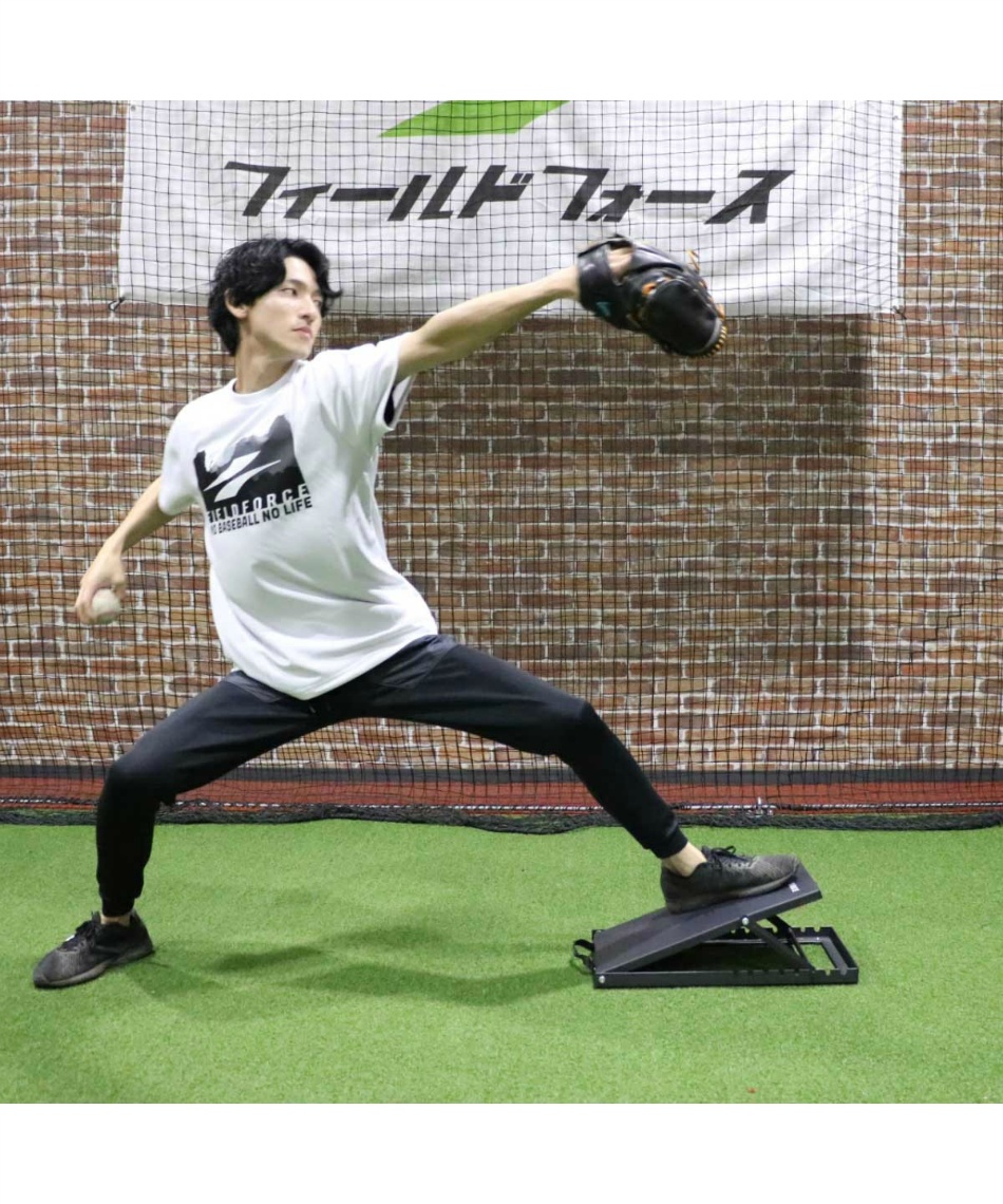 フィールドフォース　ステップボード＆スウィングスタンド フィールドフォース ステップボード＆スウィングスタンド フィールド