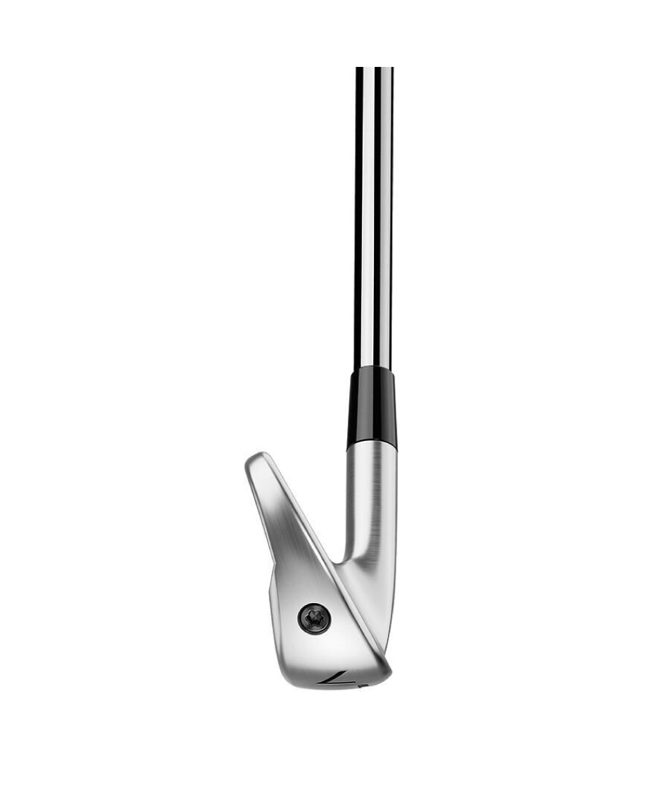Amazon.com : TAYLOR MADE P790 Iron N.S.PRO MODUS3 TOUR 105