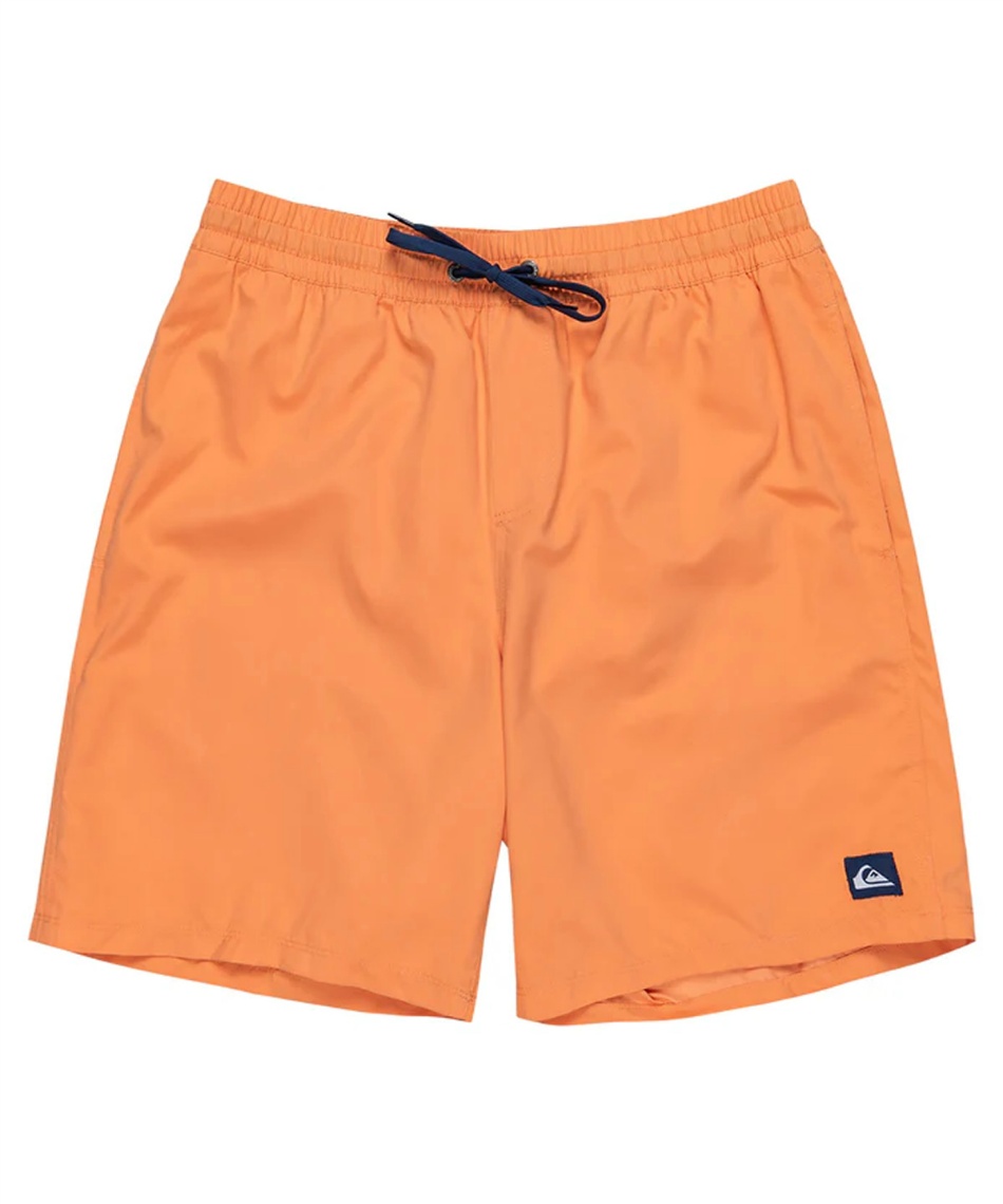 サーフパンツ EVERYDAY SOLID VOLLEY 19 メンズ ボードショーツ