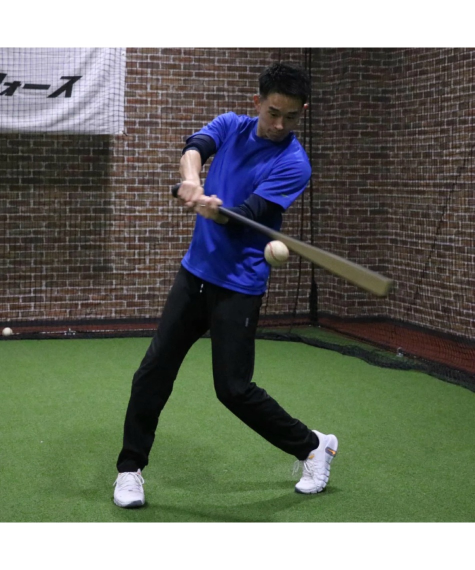 フィールドフォース(FIELDFORCE) 野球 トレーニングバット 一般用