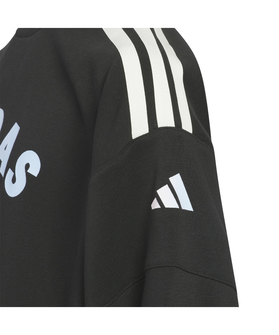 adidas スウェット 2XO adidas（アディダス） メンズ スウェット トレーナー Memories of