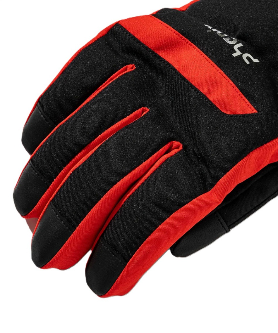 フェニックス(Phenix) スキーグローブ Bicolor Gloves バイカラー