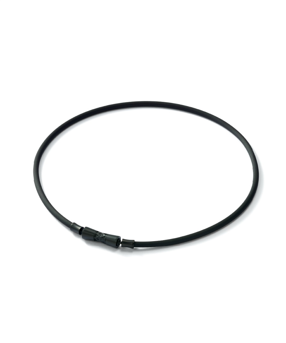 コラントッテ(Colantotte) 磁気ネックレス TAO ネックレス LIONE