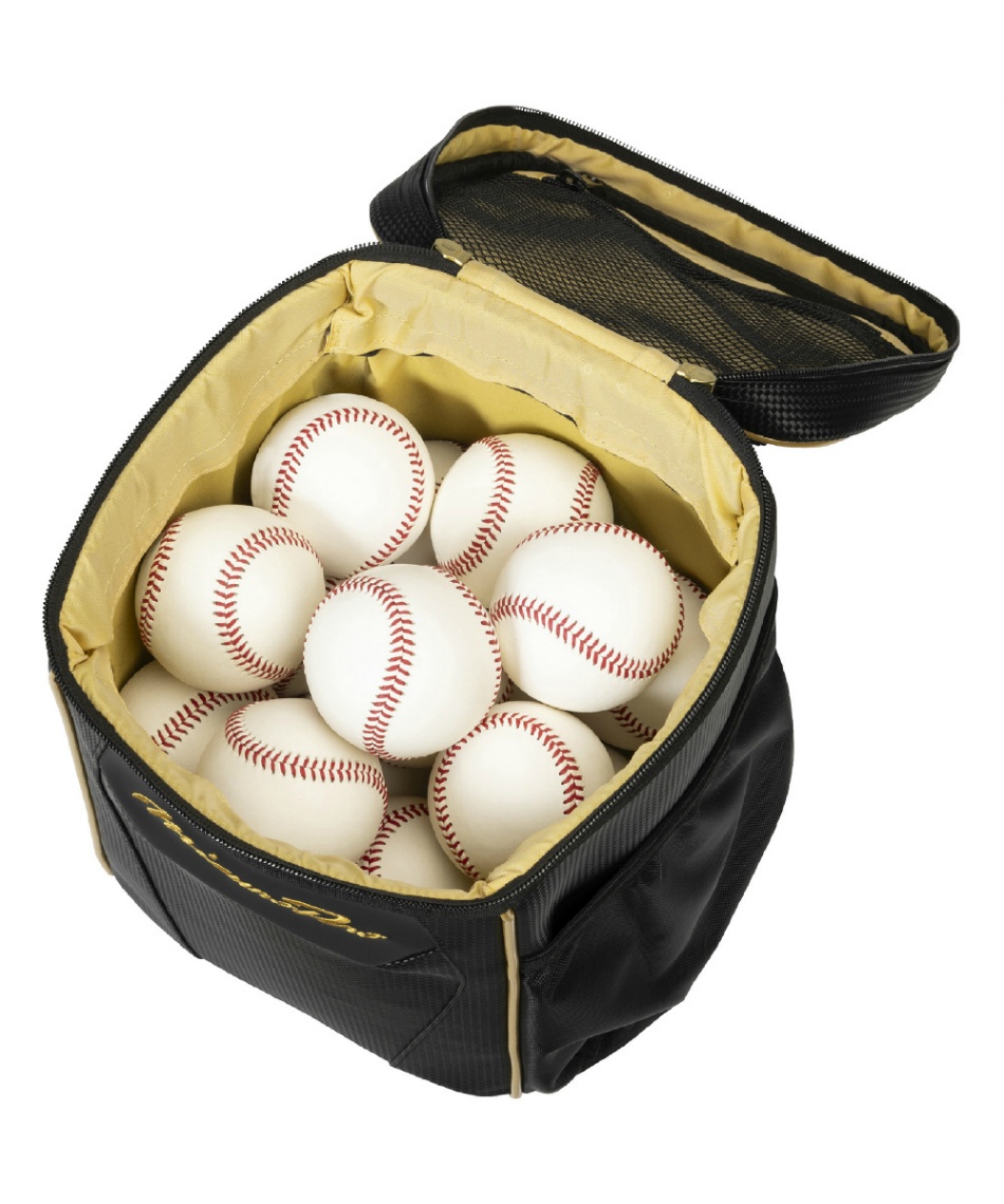 ミズノ(MIZUNO) 野球 グローブケース ミズノプロ グラブケース 1個入れ