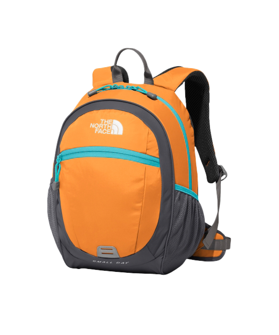 ザ・ノース・フェイス(THE NORTH FACE) バックパック スモールデイ