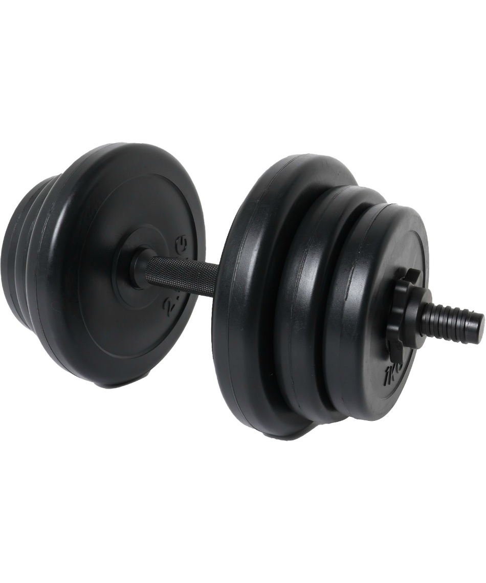 ダンベル PEダンベル10kg 2個セット VQ580104D02 | スポーツ用品なら