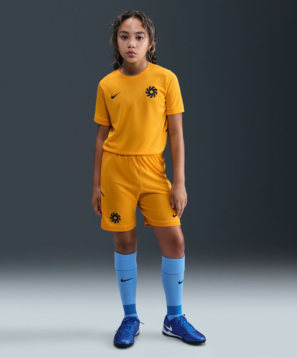 8月7日発売】 ナイキ(NIKE) サッカーウェア 半袖シャツ アーリン