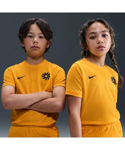 ナイキ(NIKE) サッカーウェア 半袖シャツ アーリン ハーランド