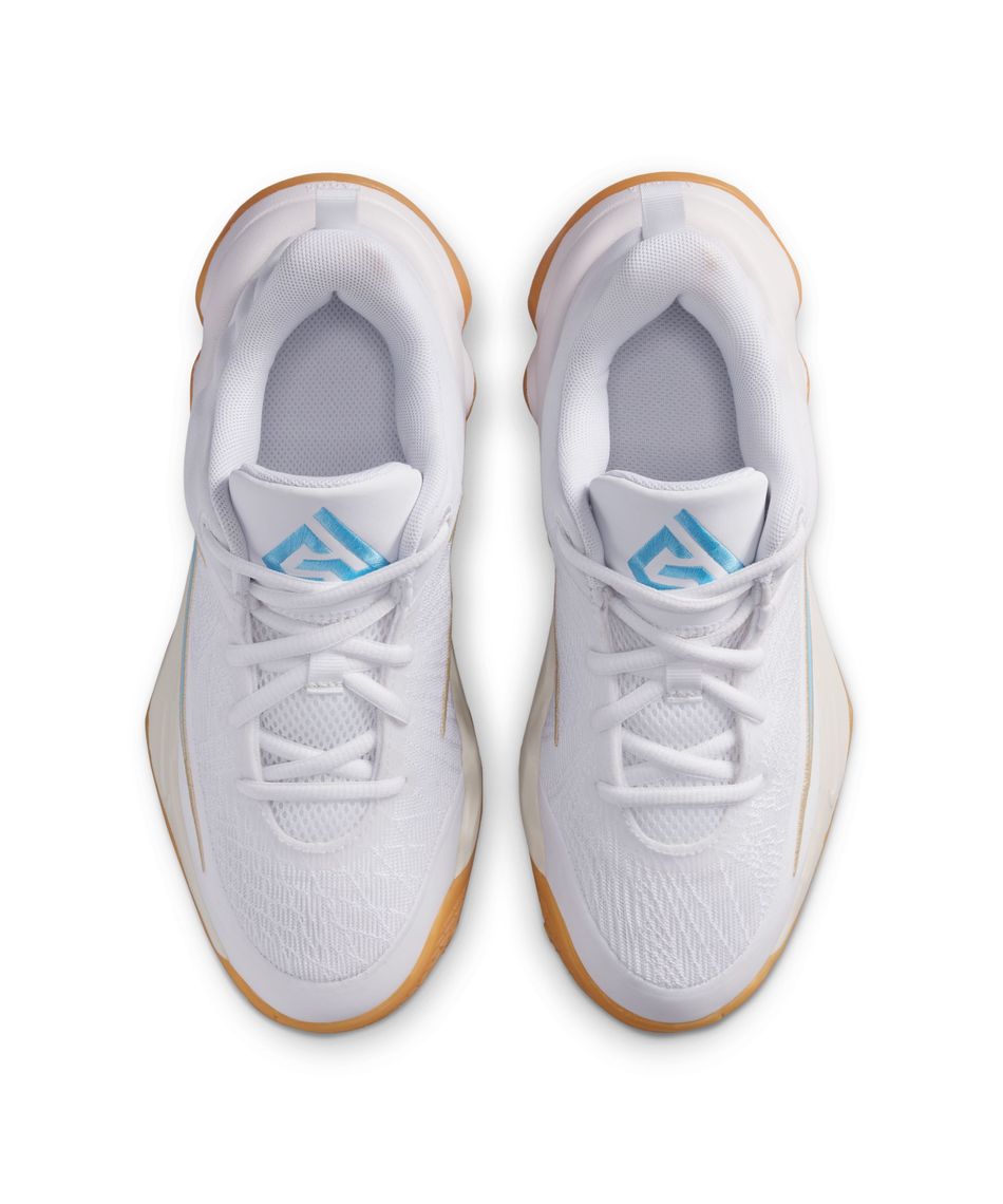 ナイキ(NIKE) バスケットシューズ 25FA ヤニスイモータリティ4GS