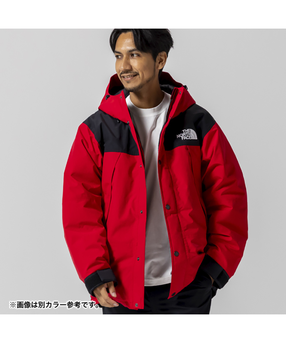 韓国限定THE NORTH FACE マウンテンダウンジャケット　M ☆超入手困難 激レア!THE NORTH FACEマウンテンダウンジャケット (THE