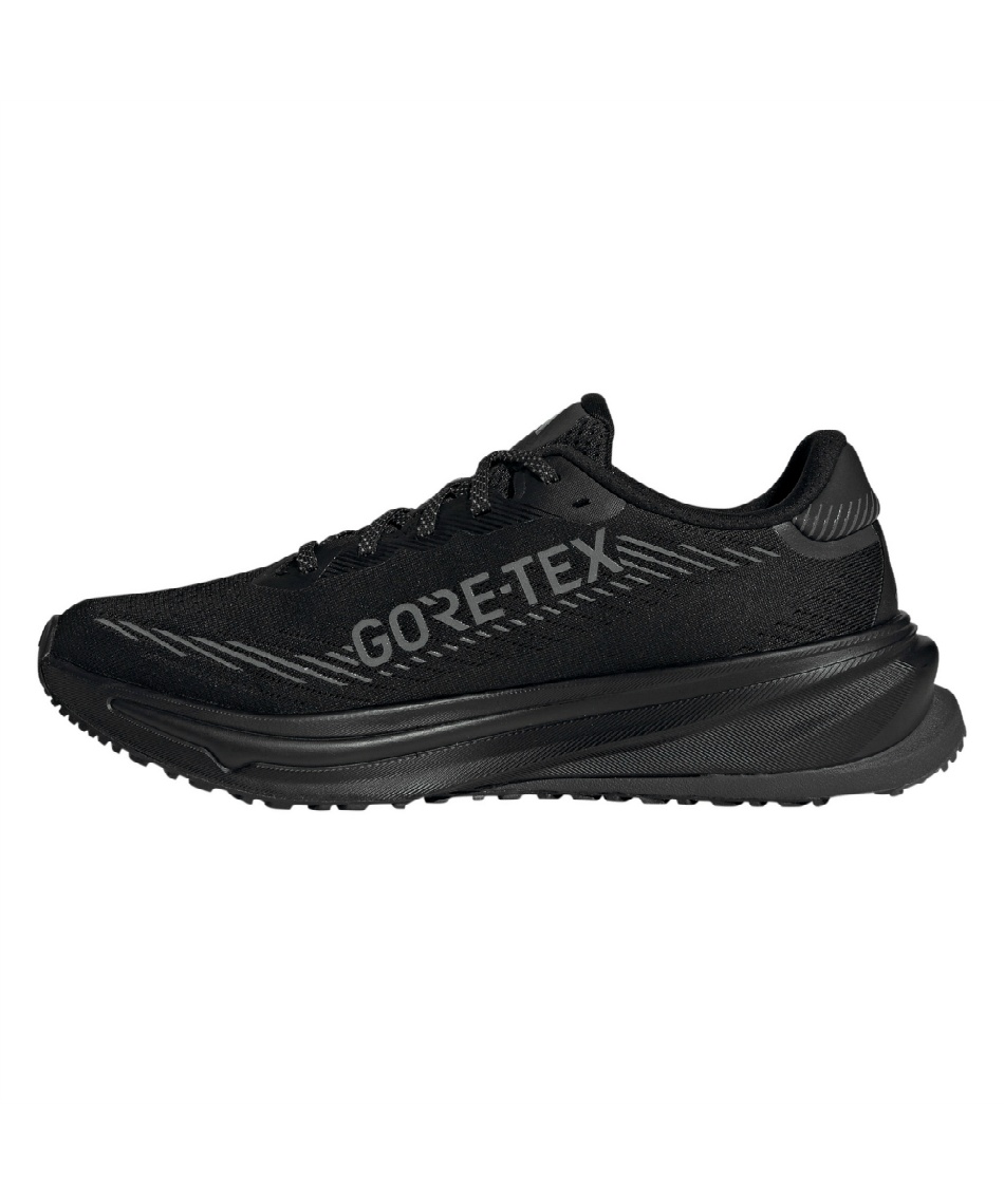 ランニングシューズ スーパーノヴァ ライズ GTX ランニング シューズ