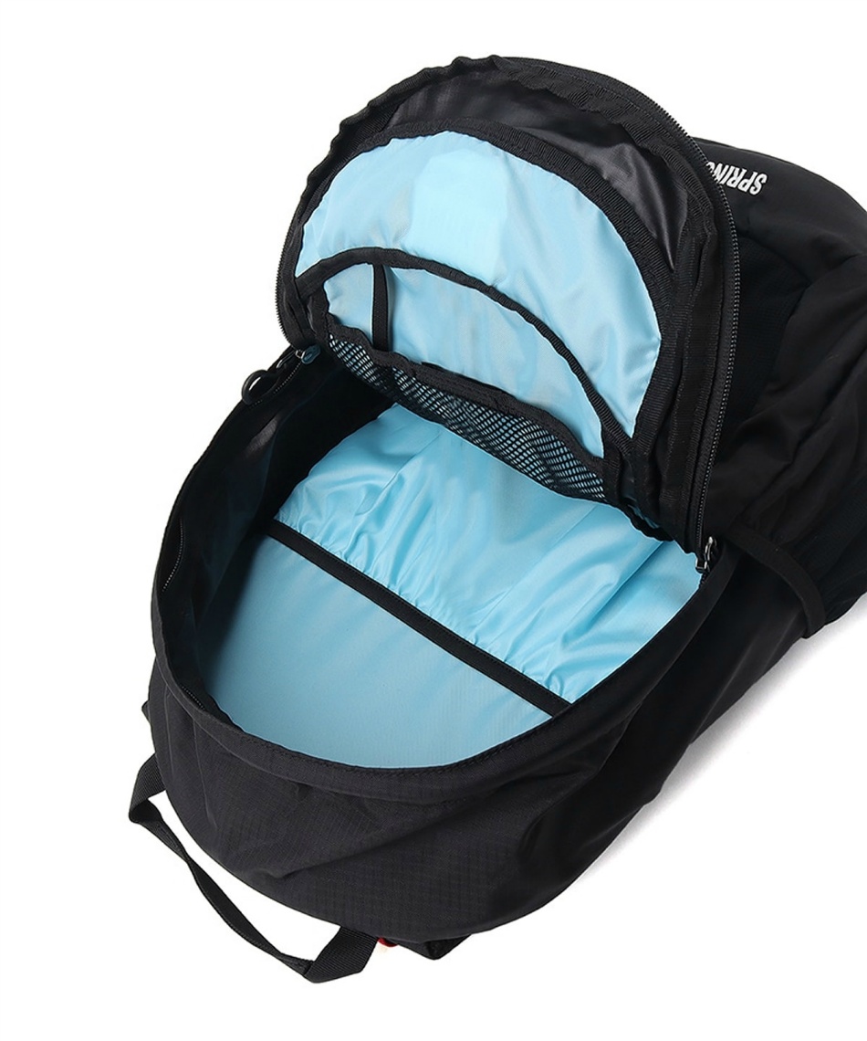 チャムス(CHUMS) バックパック スプリングデール20 CH60-4099-BLACK