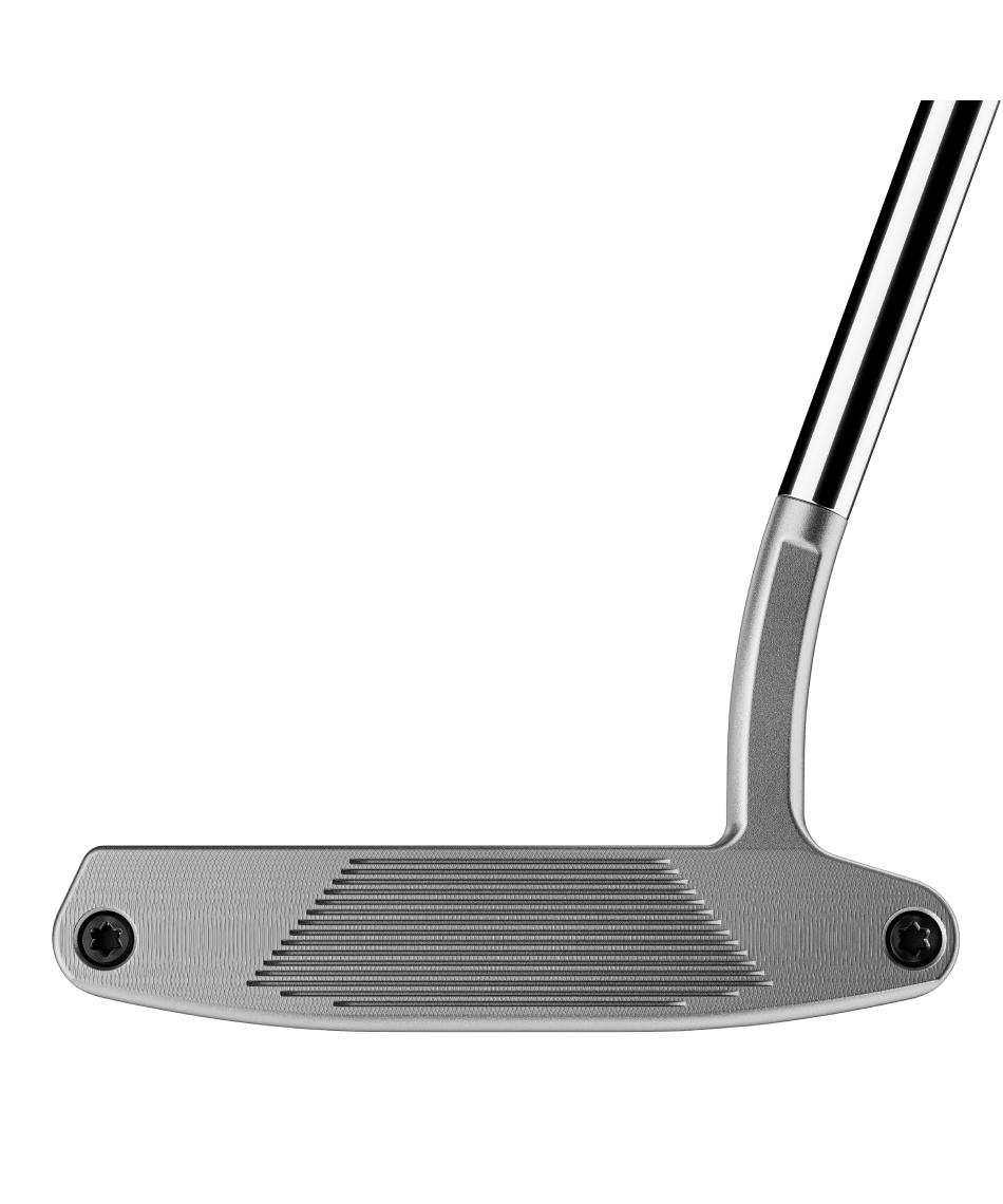 テーラーメイド(TaylorMade) ゴルフクラブ パター システム2 ノーマル